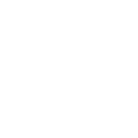 C&I School - Logo Badge - White