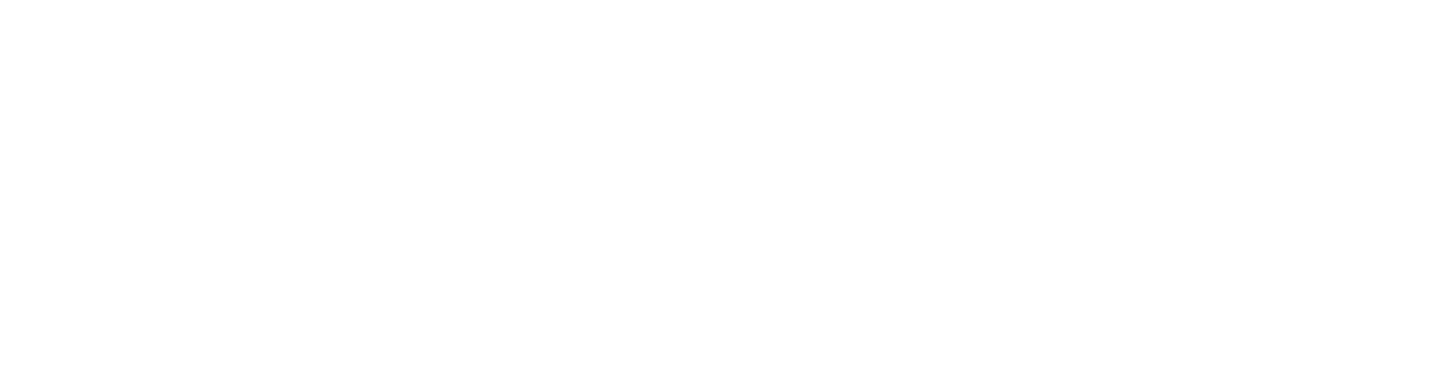 Cornerstone Advisors - Logo - Horizontal - White-1