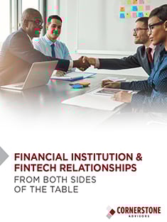 FI-fintech-relationships_cover_250-313-1