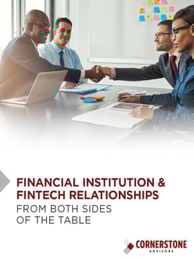 FI-fintech-relationships_cover_720x960
