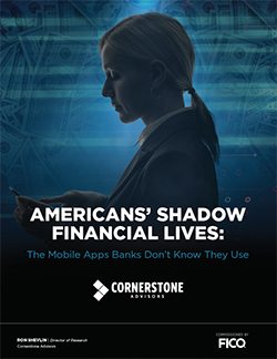 FICO_Americans-Shadow-Financial-Lives_COVER_250