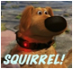 Squirrel - Up Movie