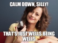 wells fargo meme
