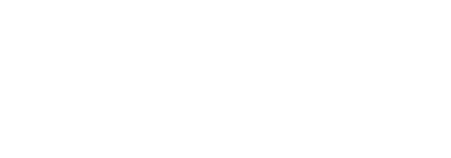 Performance Vault - Logo - Horizontal - White