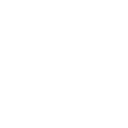 White Payments School Logo