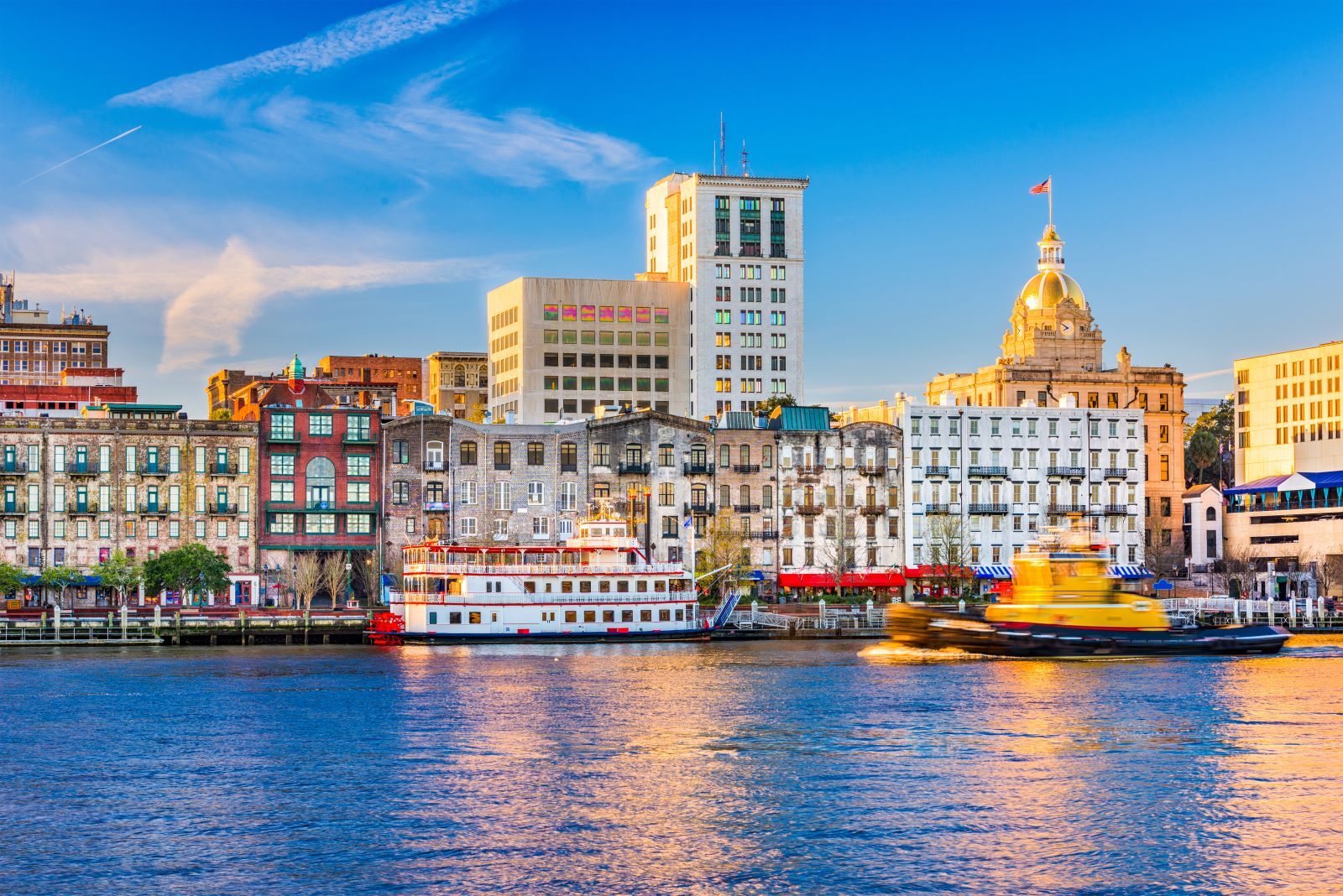 savannah_skyline_shutterstock_