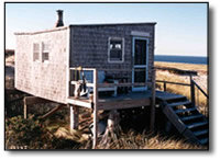 shack