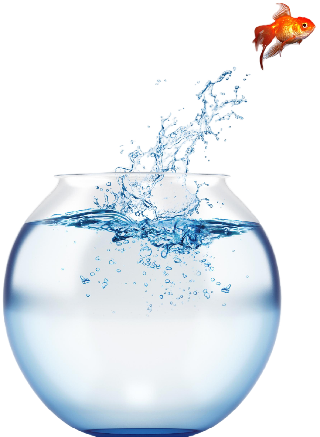 Smarter Bank 2025 - Video Series - Opportunistic Image Smarter Bank 2025 - Video Series - Opportunistic Image